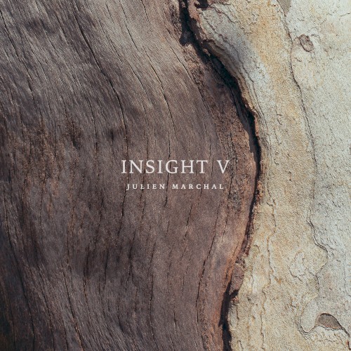INSIGHT V