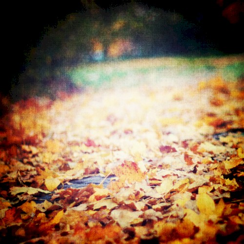 Variations (for autumn)