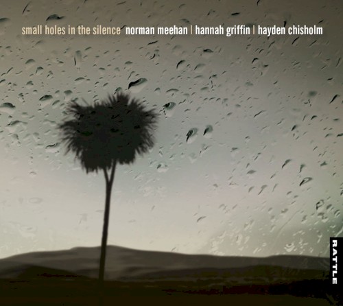 Small Holes in the Silence