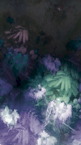 Silcasoid Beats Vol. II