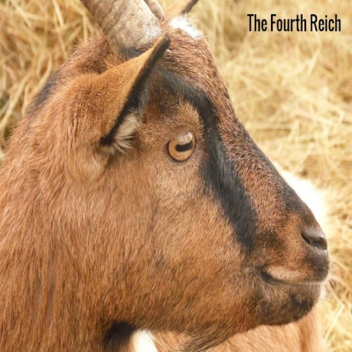 The Fourth Reich