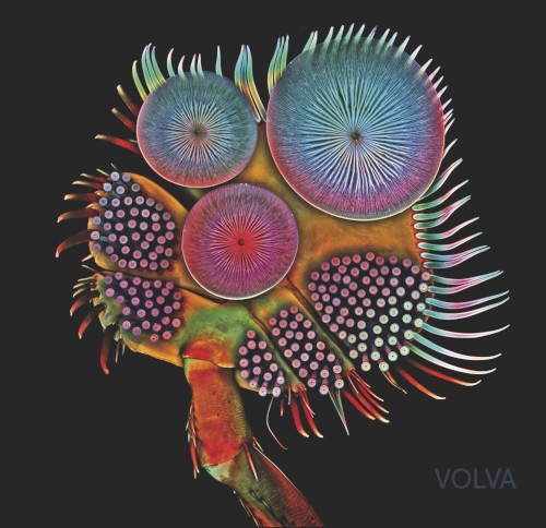 Volva