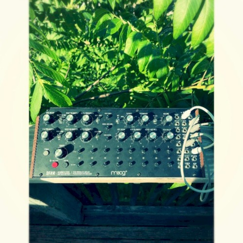 Moog Waves