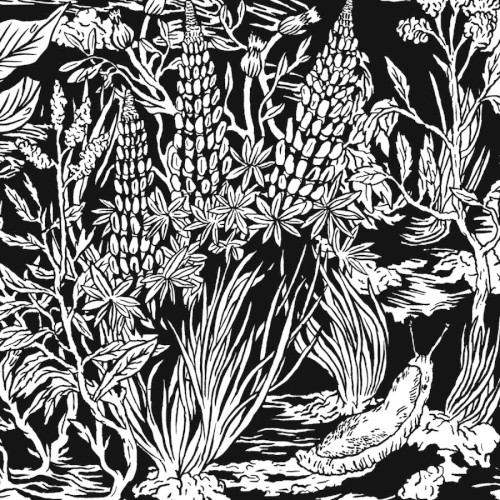 Wild Strawberries