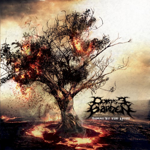 Burnt by the Light