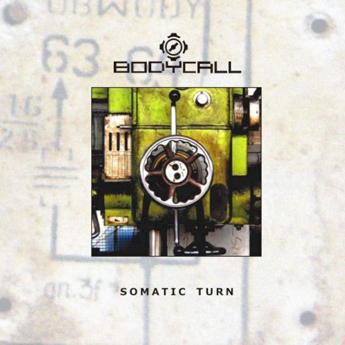 Somatic Turn