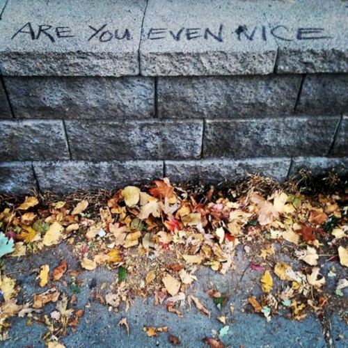 Are You Even Nice