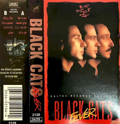 Black Cats Fever - Persian Music