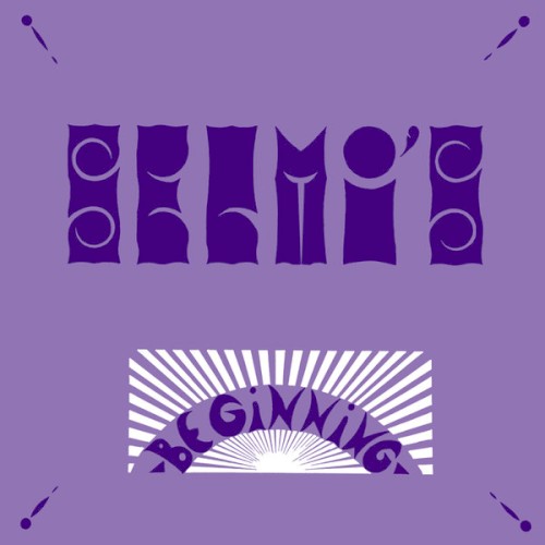 Selmi's Beginning