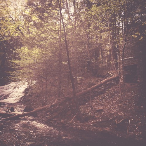 Walter Goodman (Or the Empty Cabin in the Woods)