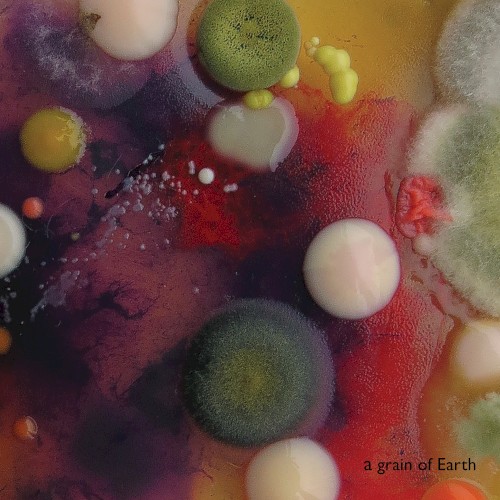 A Grain of Earth