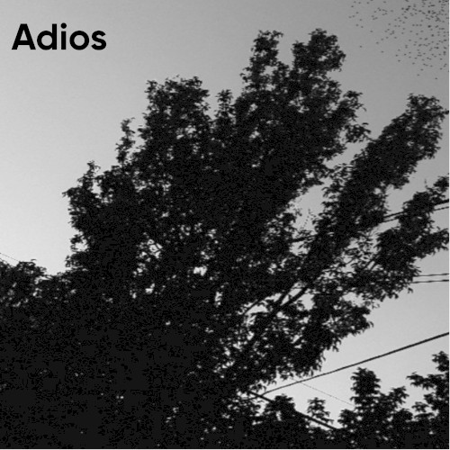 Adios