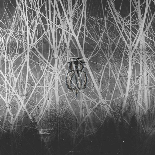 Dreams Are From the Deep Dark. Keep Listening and Seeing. They Are Waiting for the Tendrils in Your Brain to Spark the Eternal Fire.