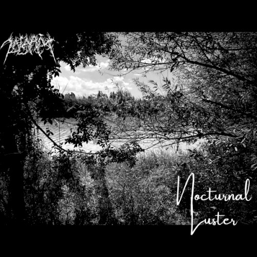 Nocturnal Luster
