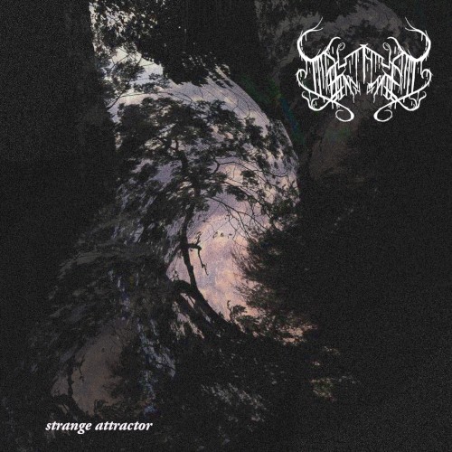Strange Attractor