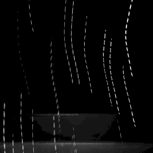Dissociation on a Pale Blue Dot