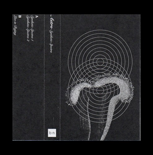 Synthetic Spectra
