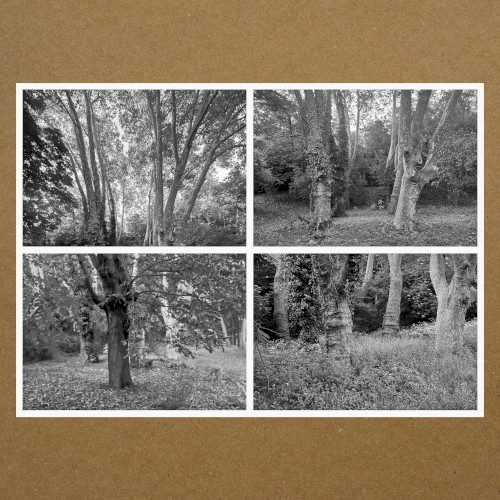 Haunted Woodland, Volume Five