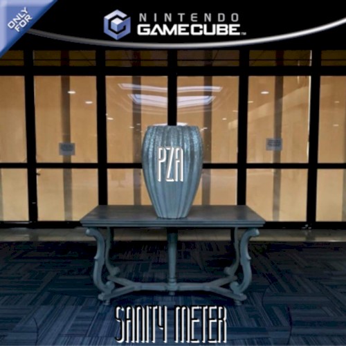 SANITY METER