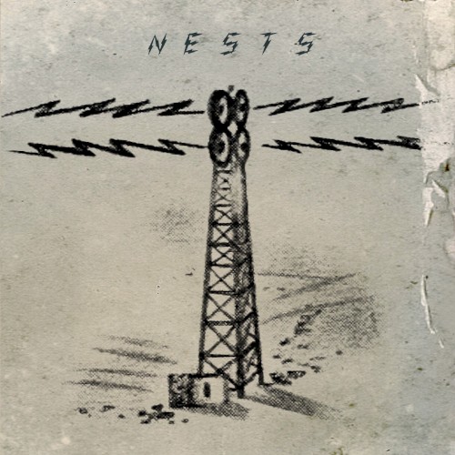Nests