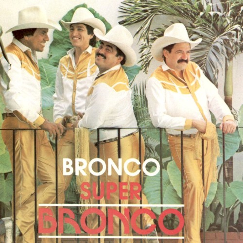 Súper bronco