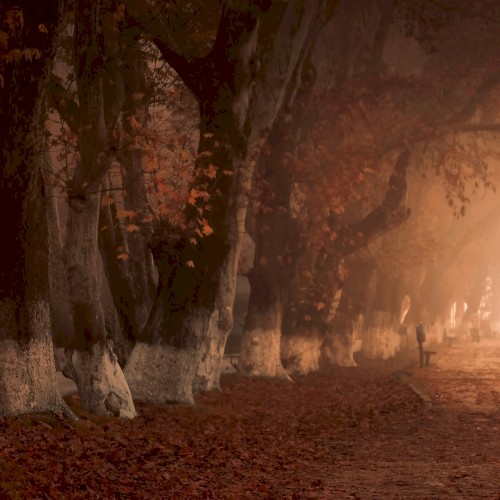 With Autumn II