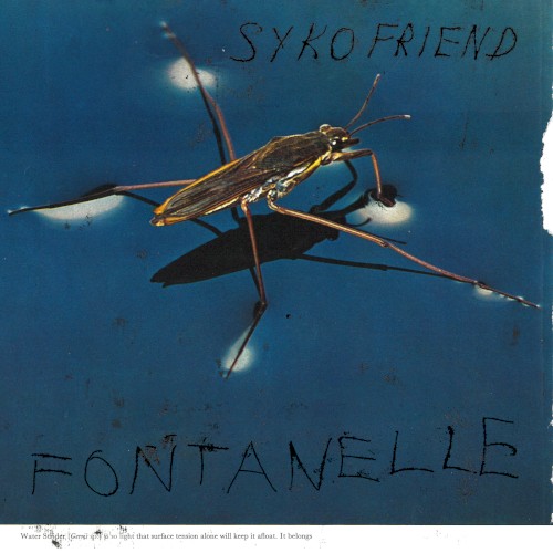 Fontanelle