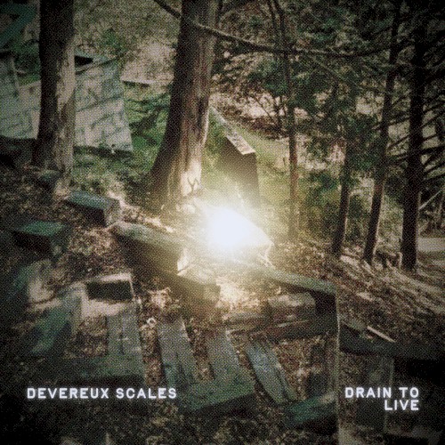 Drain to Live