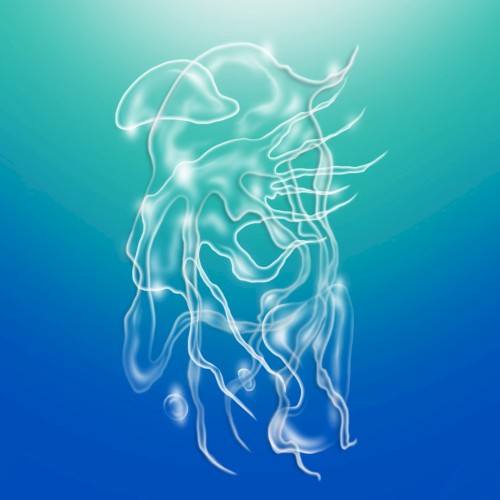 a veil, the sea