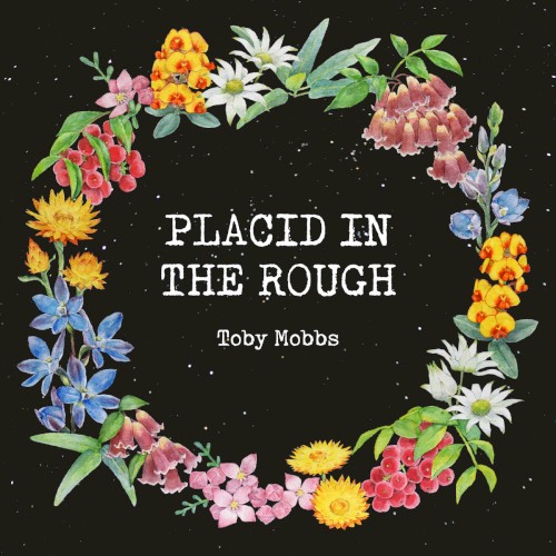 Placid In The Rough