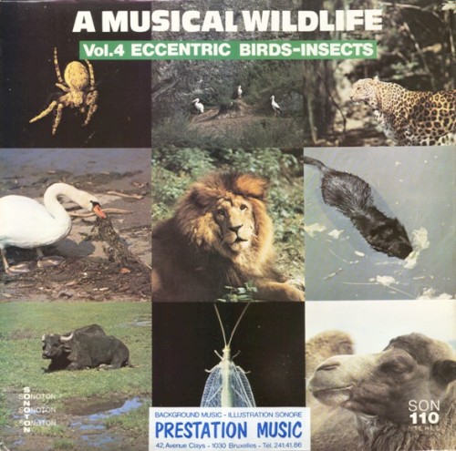 A Musical Wildlife Vol.4 Eccentric Birds-Insects