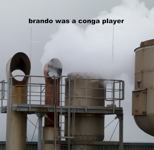 brando was a conga player