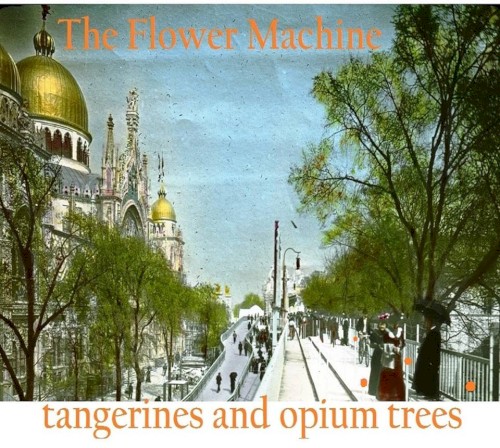 Tangerines and Opium Trees
