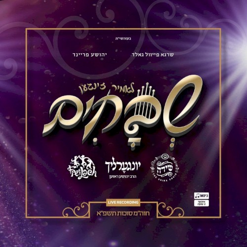 לאמיר זינגען שבחים