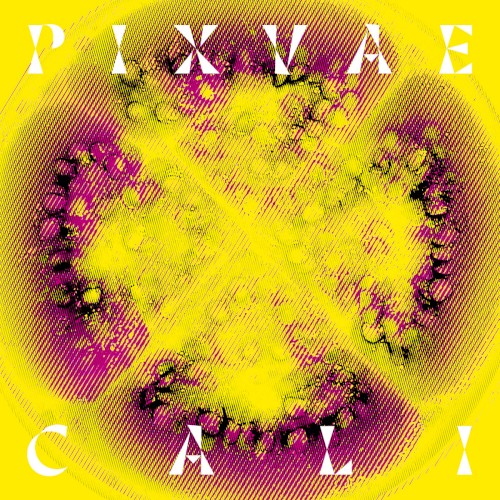 Cali