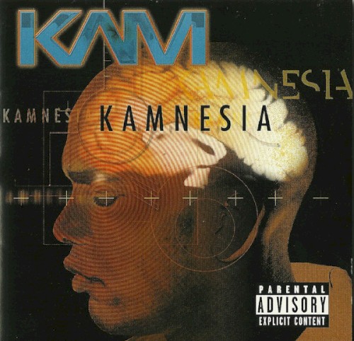 Kamnesia