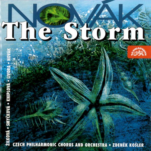 The Storm