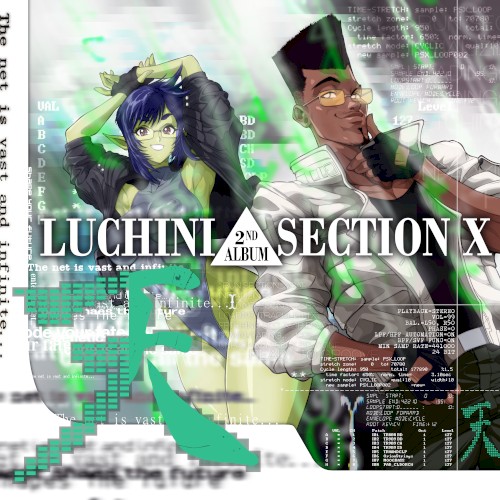 SECTION X