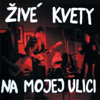 Na mojej ulici