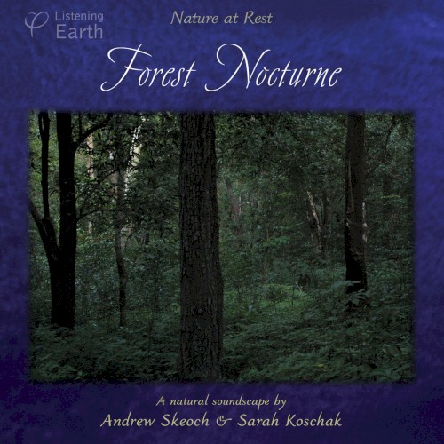 Forest Nocturne