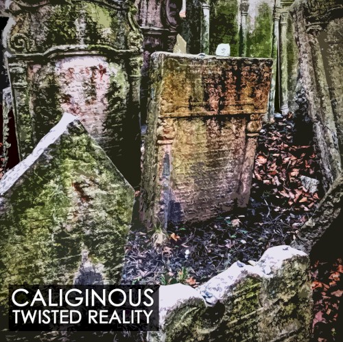 Twisted Reality