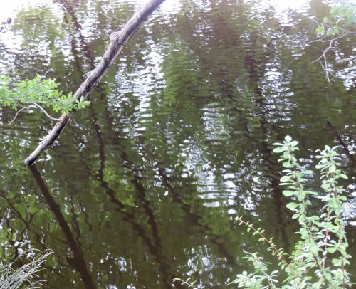 Ethereal Limnology