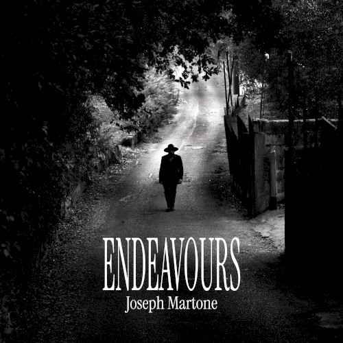 Endeavours