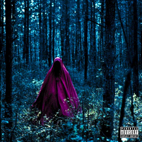 FOREST HYMNZ