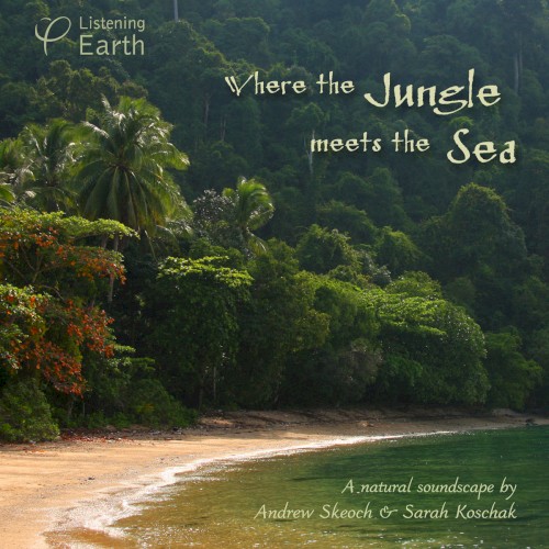 Where the Jungle Meets the Sea
