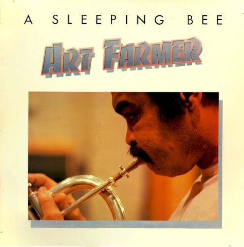A Sleeping Bee
