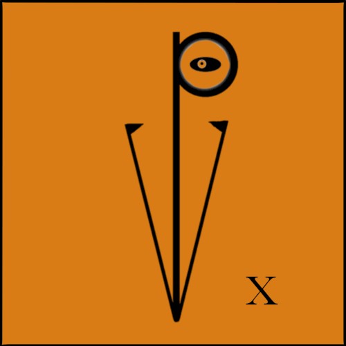 PV X