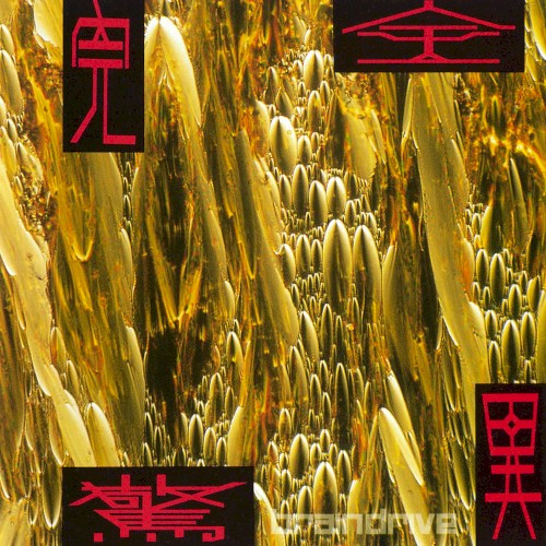 完全驚異