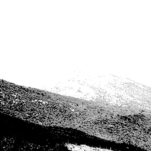 53rd