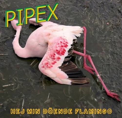 Hej min döende flamingo